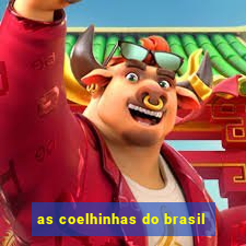 as coelhinhas do brasil